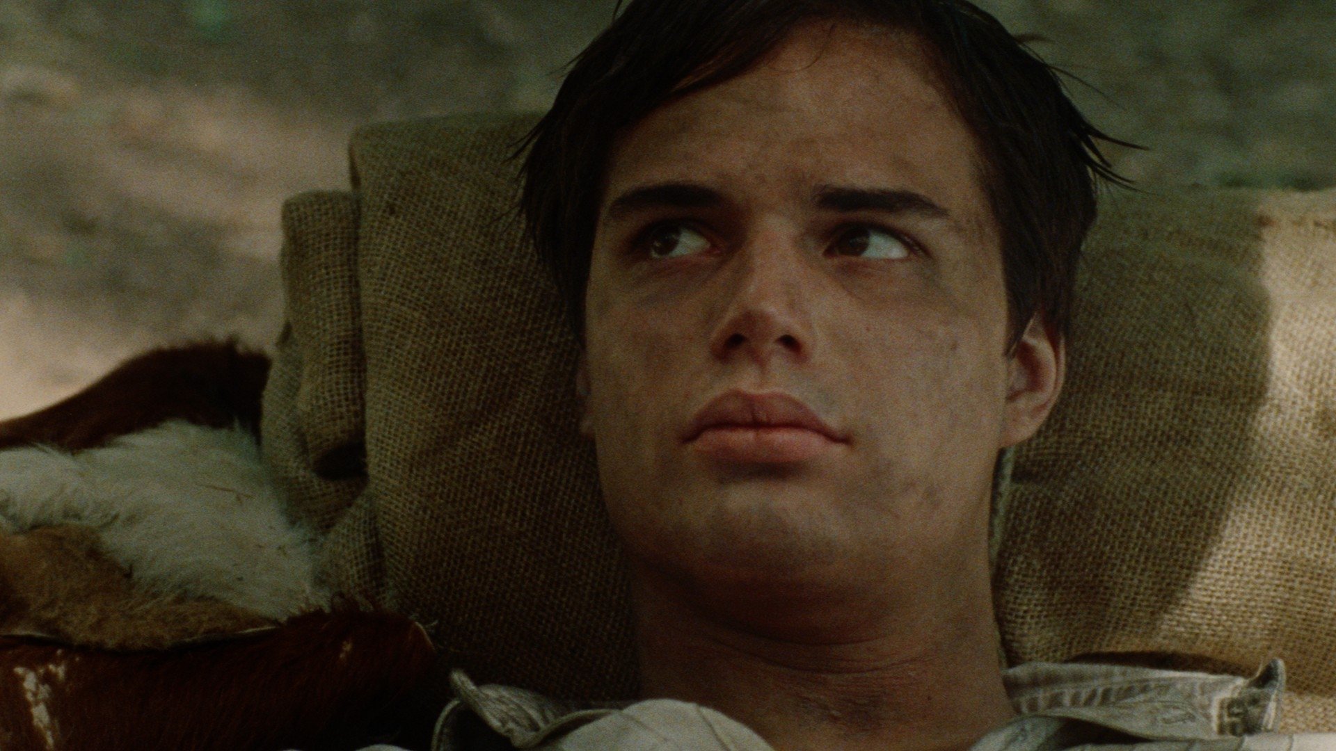 Backdrop for Guerilla