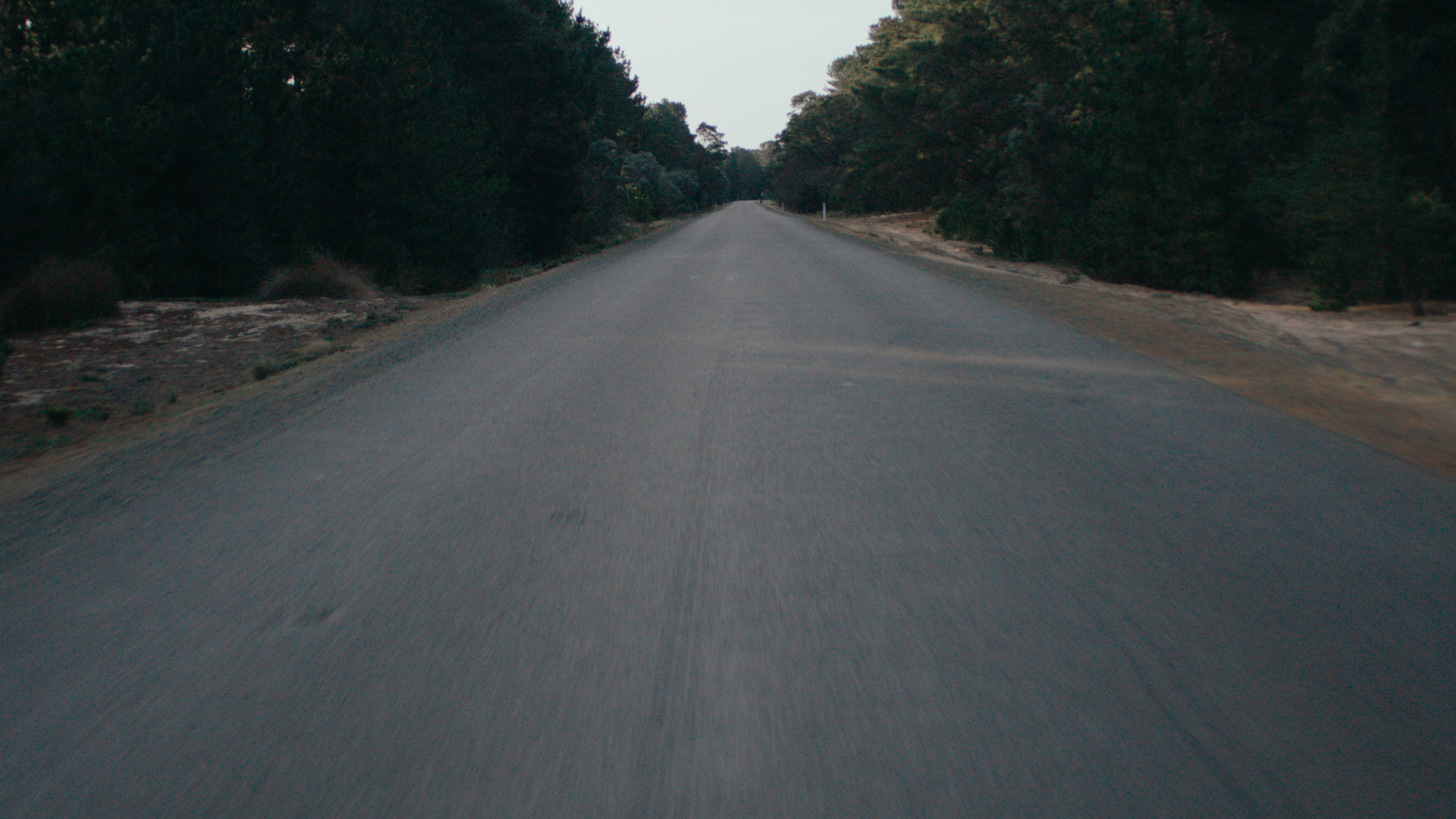 Backdrop for Wherever You Go, There You Are