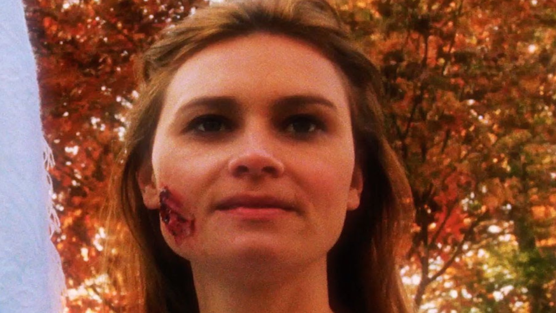 Backdrop for As Human As Animal