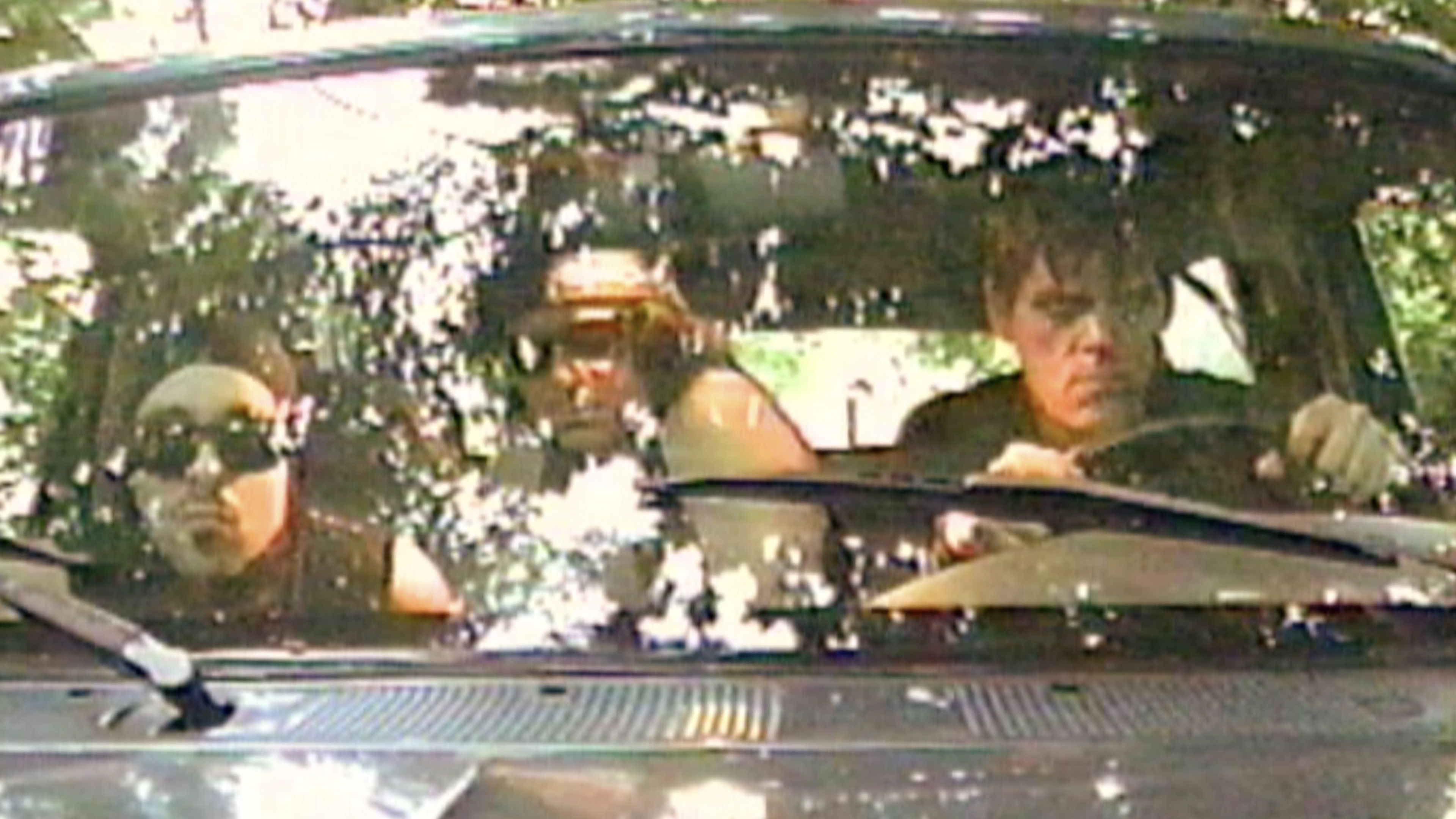 Backdrop for Suburban Legend