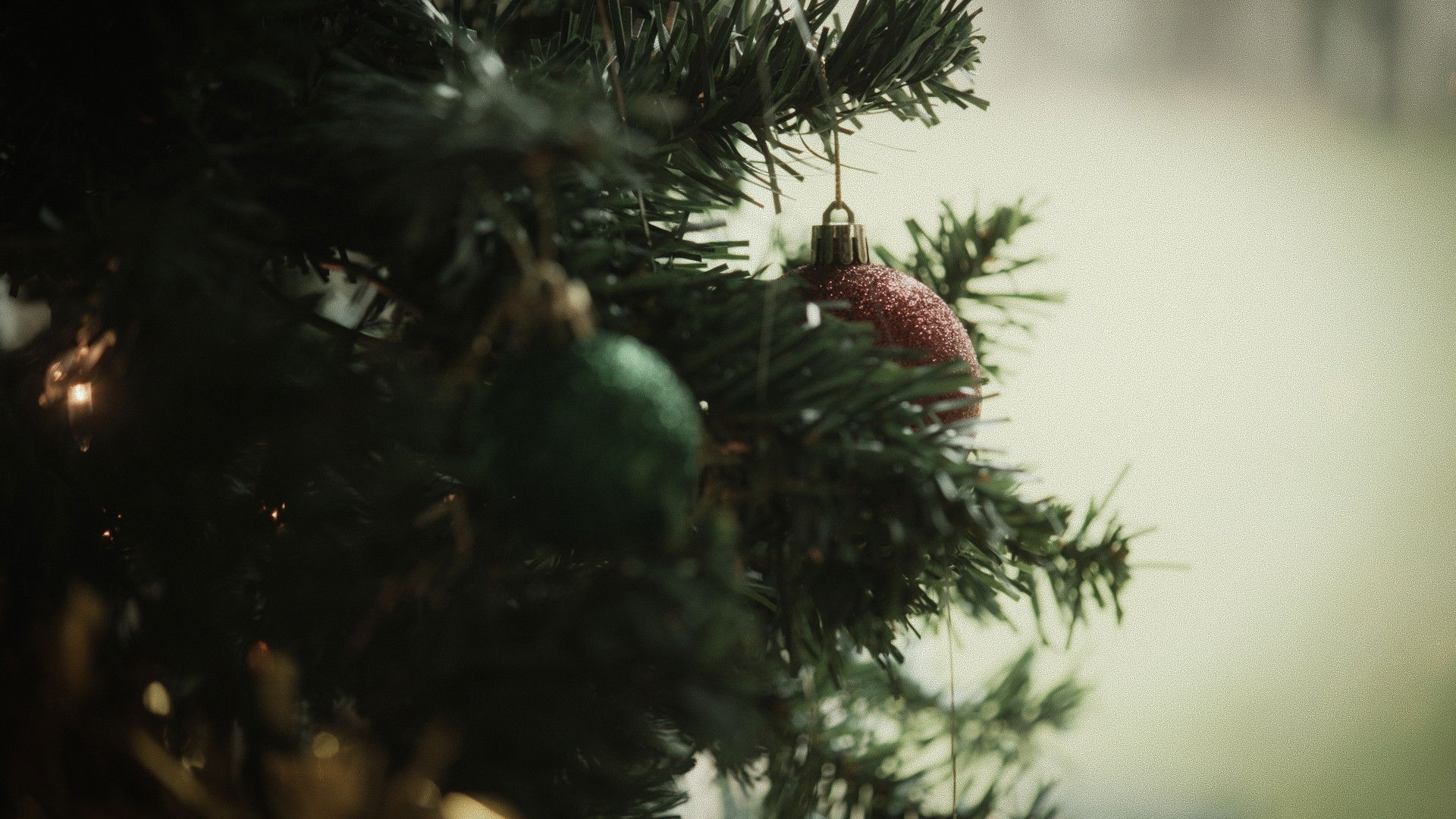 Backdrop for Die by the Schtick