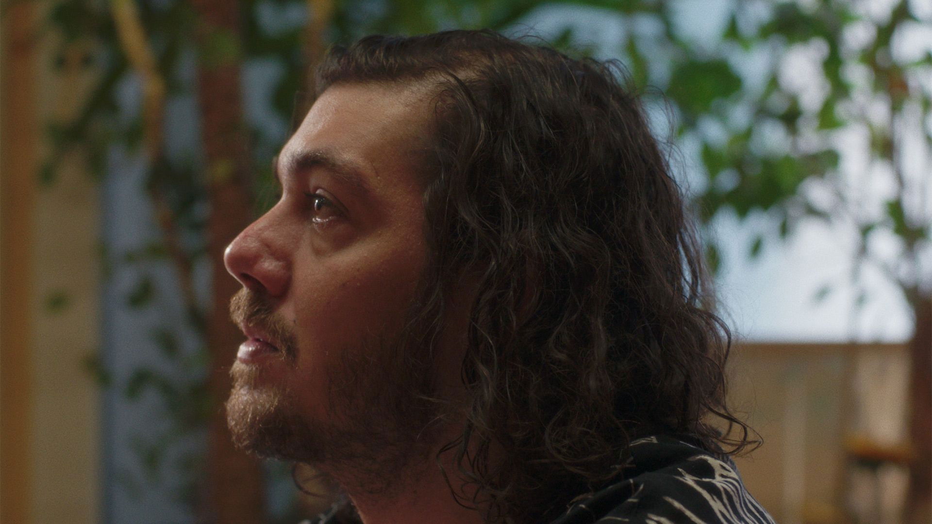 Backdrop for Leonardo