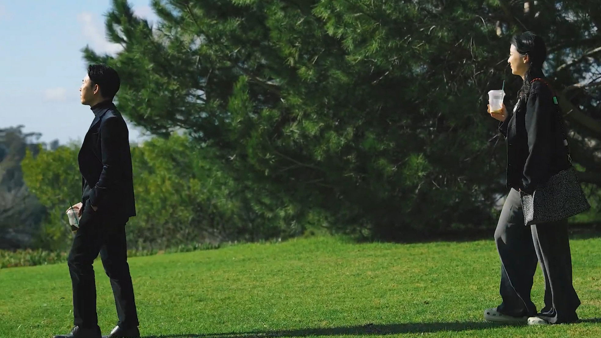 Backdrop for Still Sunset