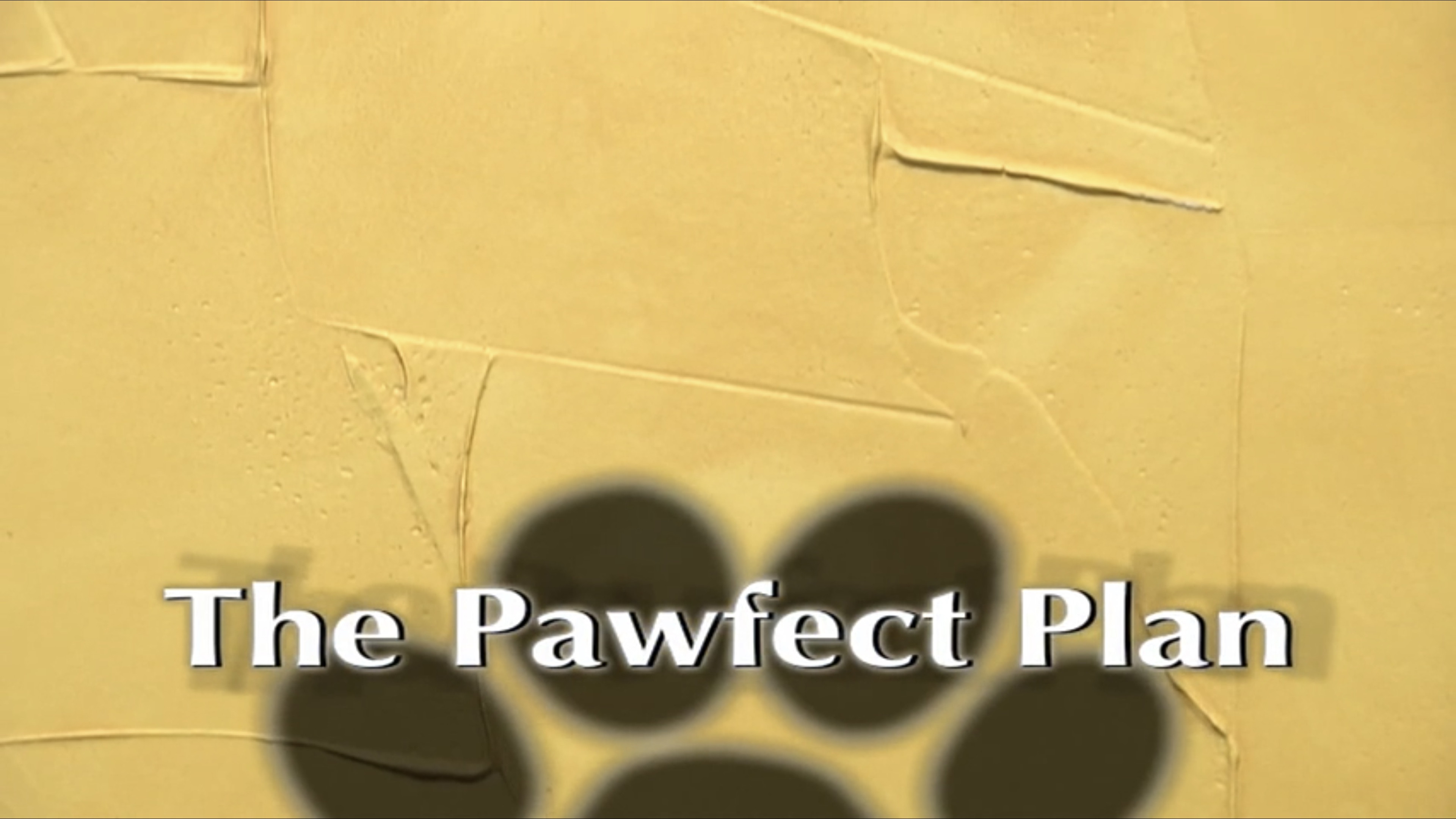 Backdrop for The Pawfect Plan