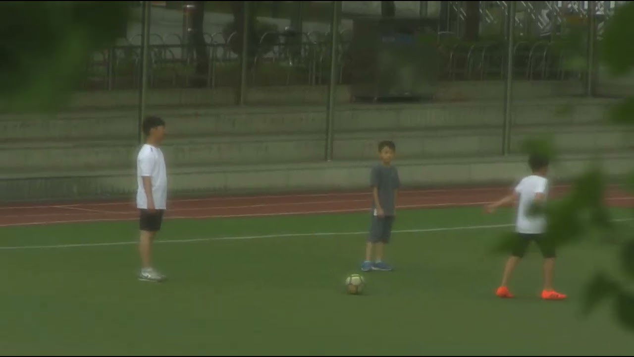 Backdrop for Letter to the New York Film Festival