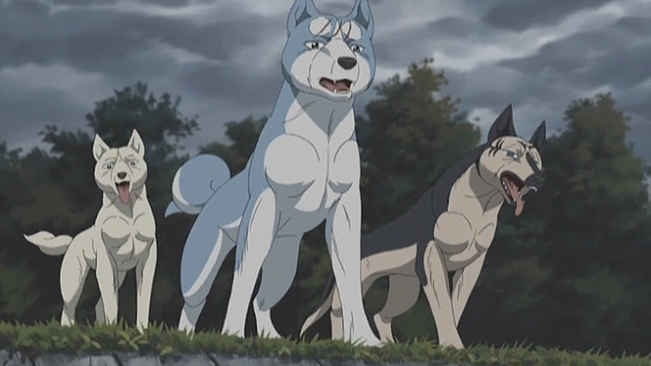 Backdrop for Silver Fang Legend Weed