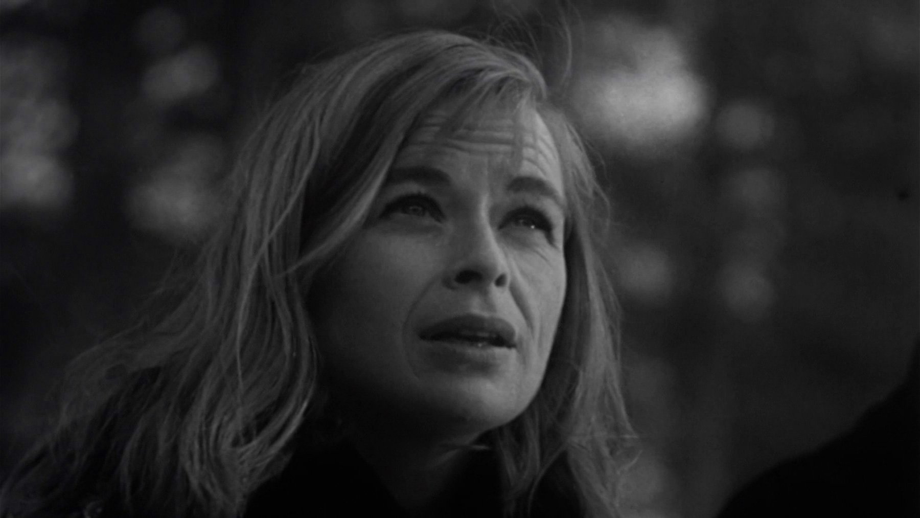 Backdrop for Beast from Haunted Cave