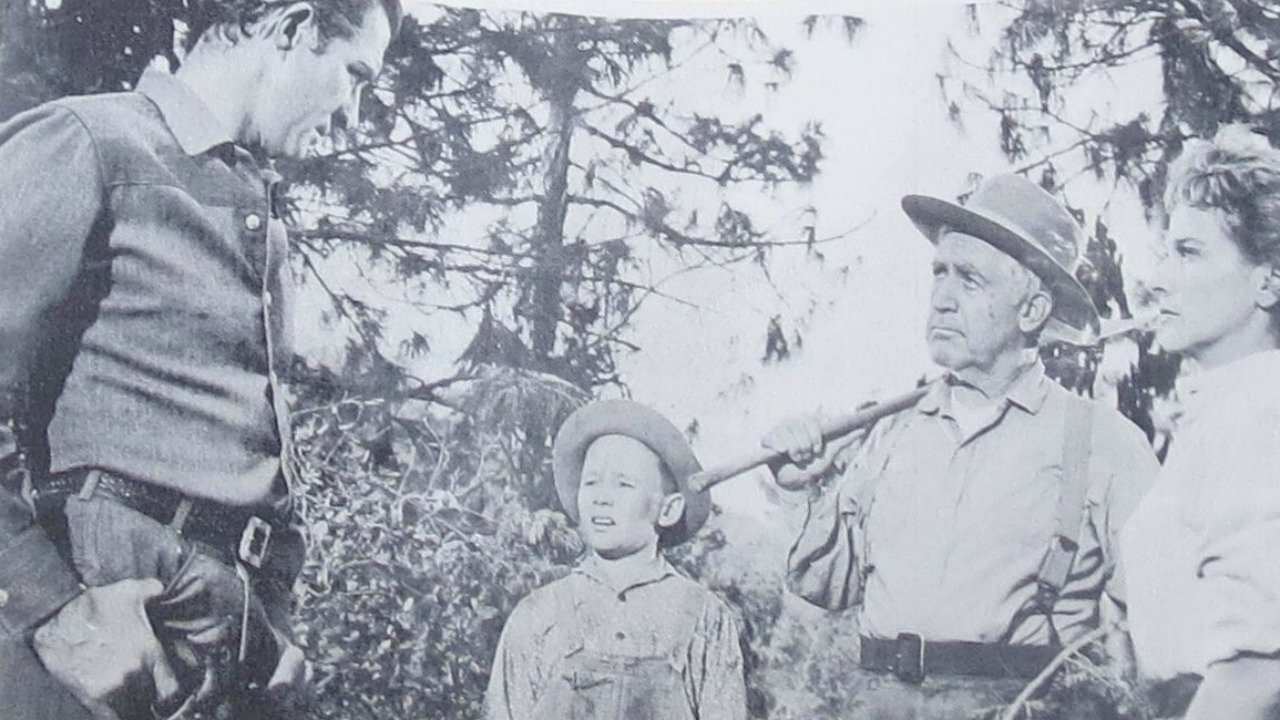 Backdrop for Money, Women and Guns