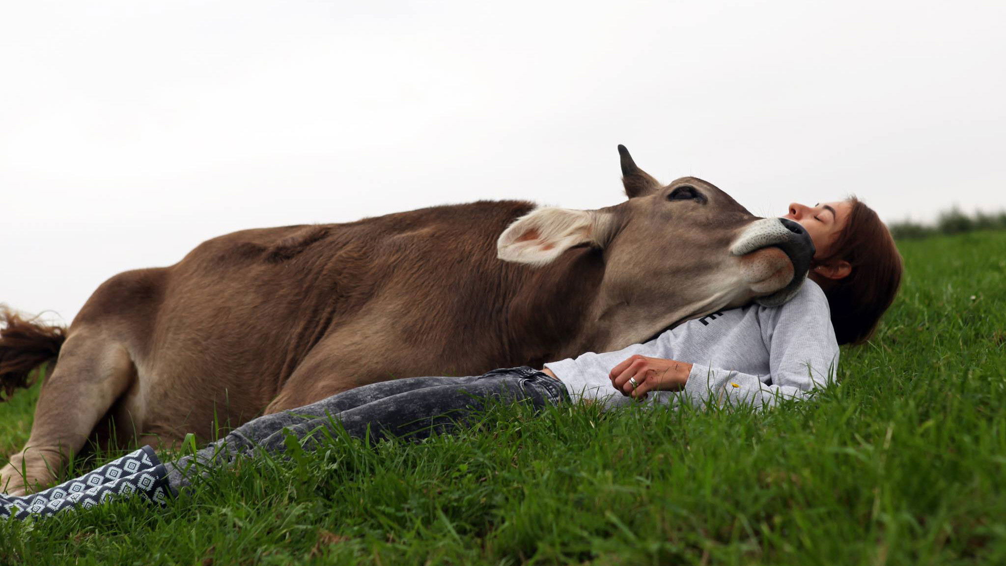Backdrop for Butenland
