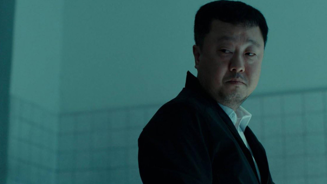 Backdrop for Swallow