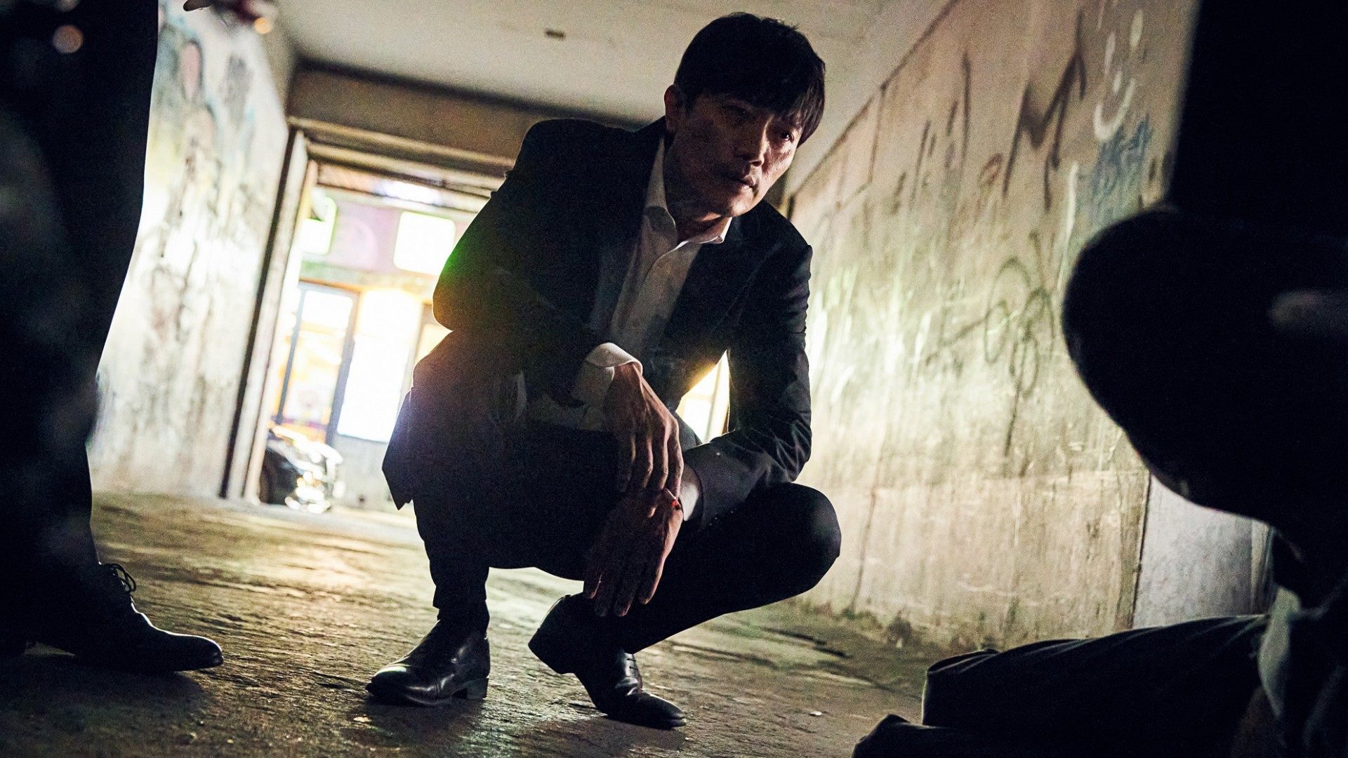 Backdrop for A Model Family