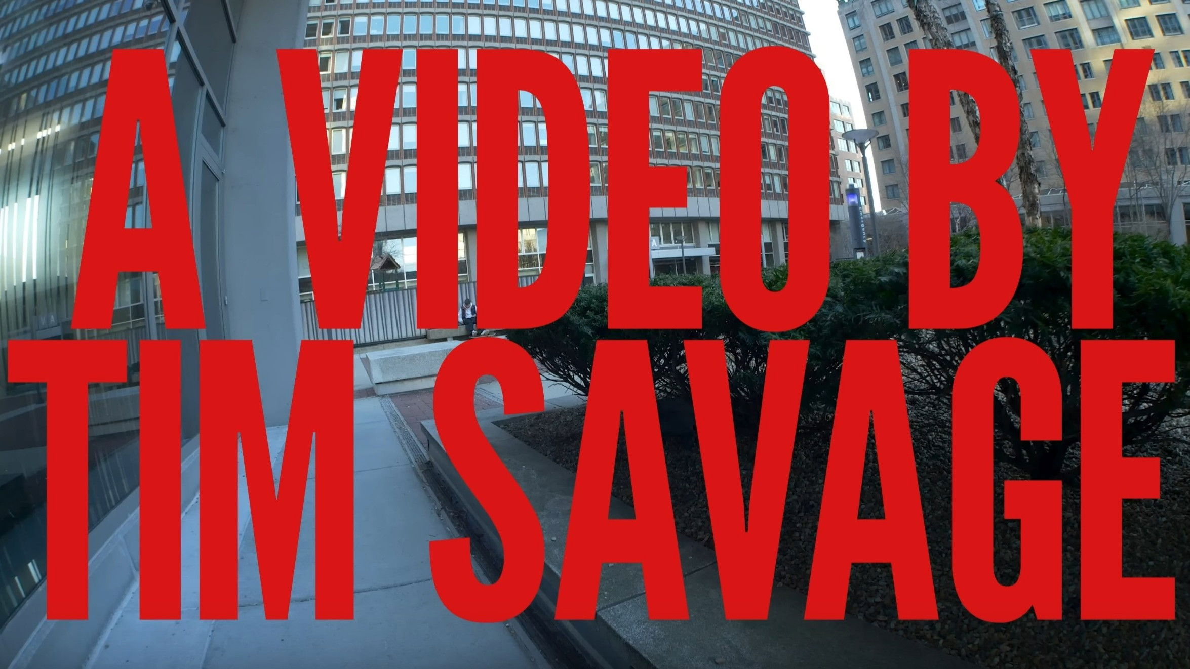 Backdrop for FREE GAME