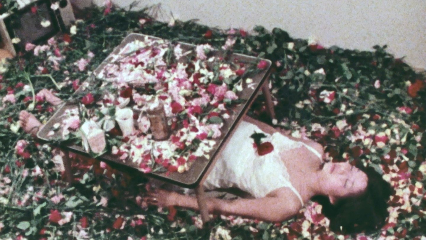 Backdrop for Afternoon Breezes