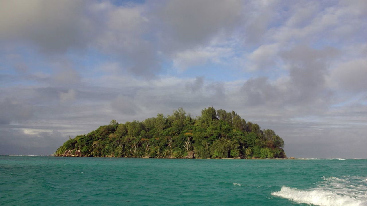 Backdrop for A Grain of Sand