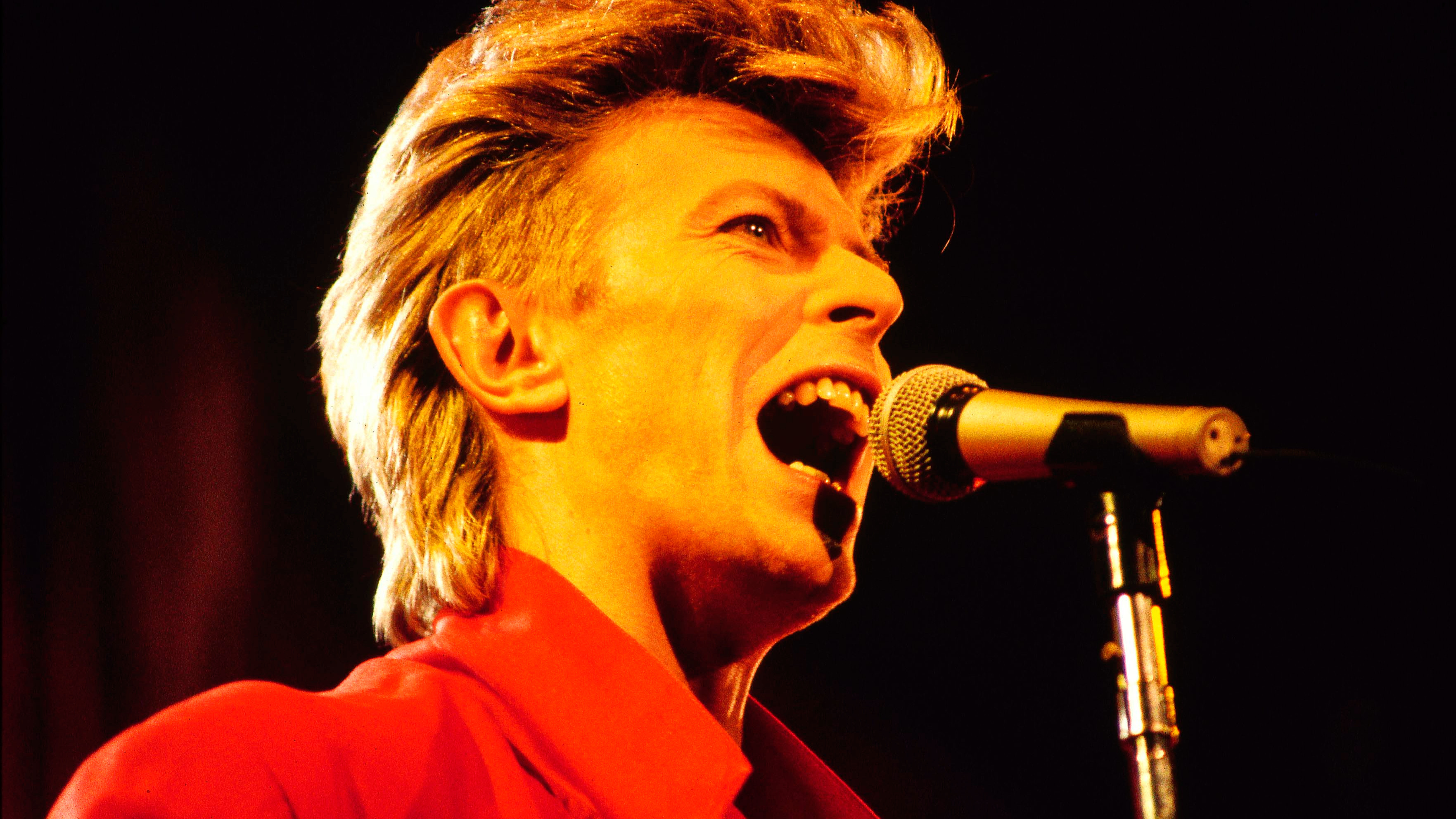 Backdrop for David Bowie: Glass Spider