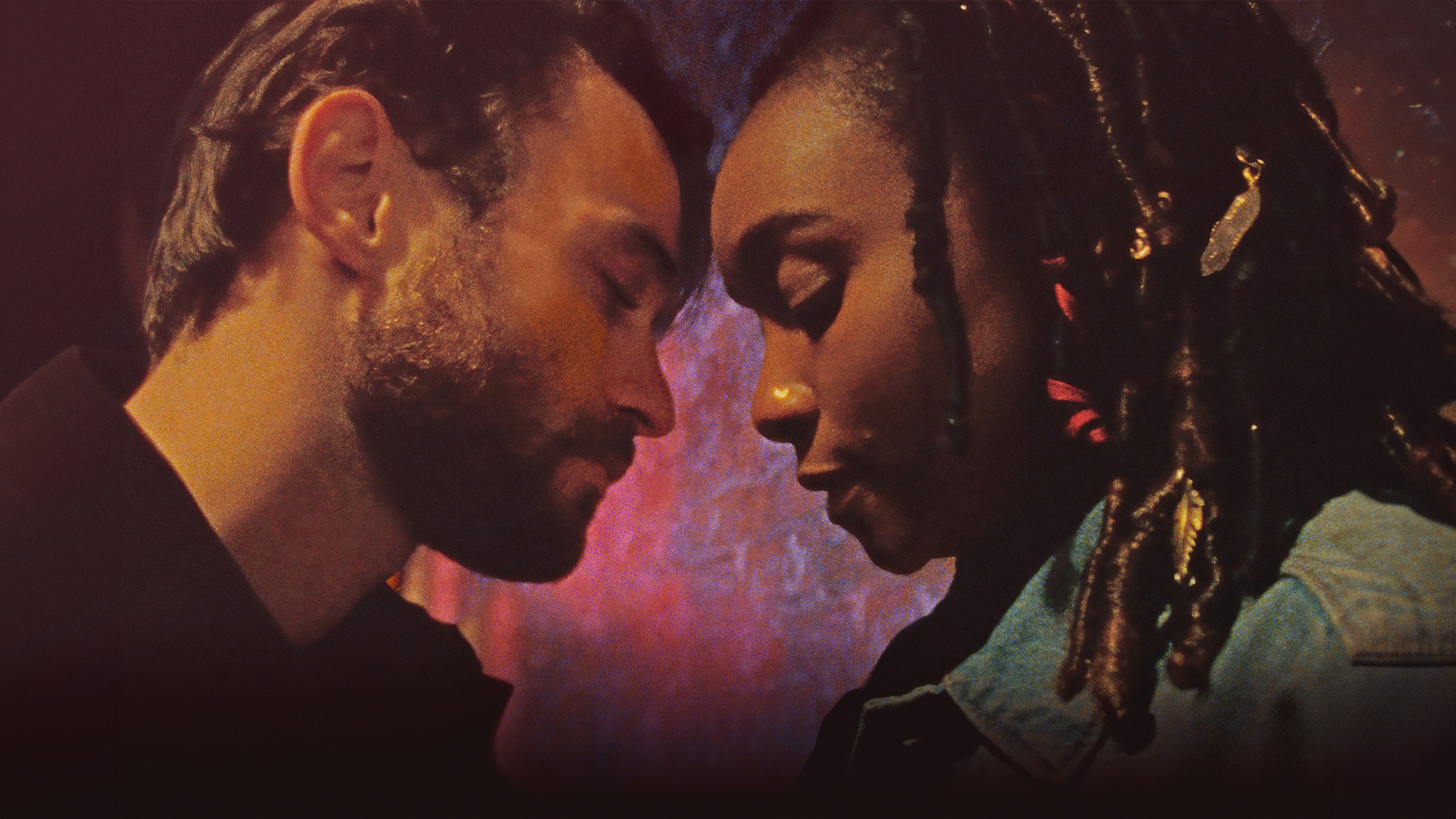 Backdrop for Dandelion