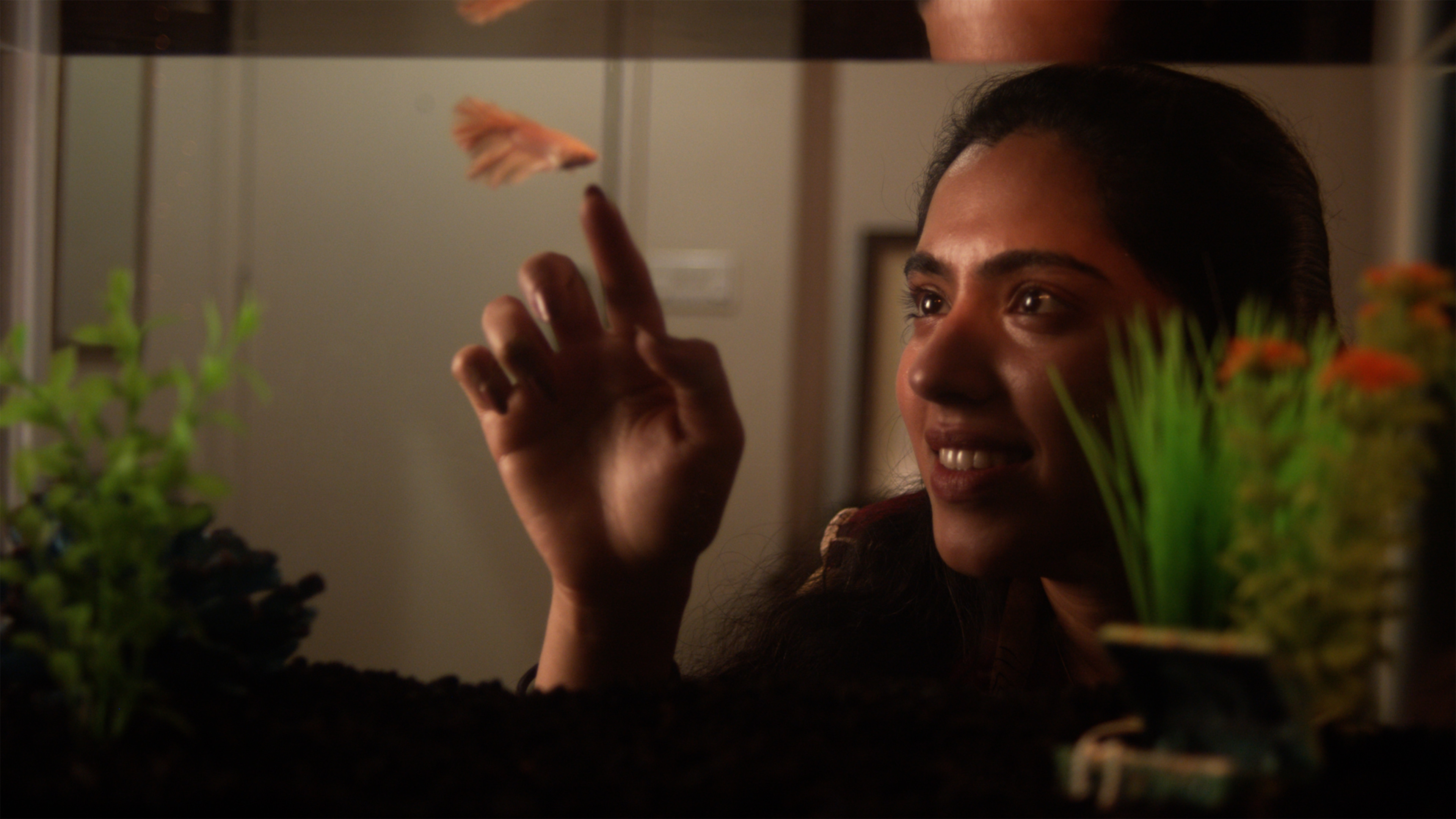 Backdrop for Mr. Bubbles