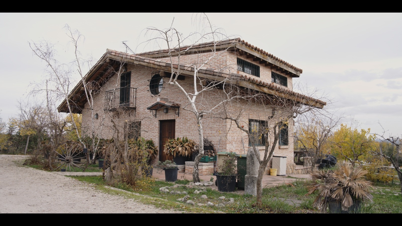 Backdrop for El Lobo y La Gacela