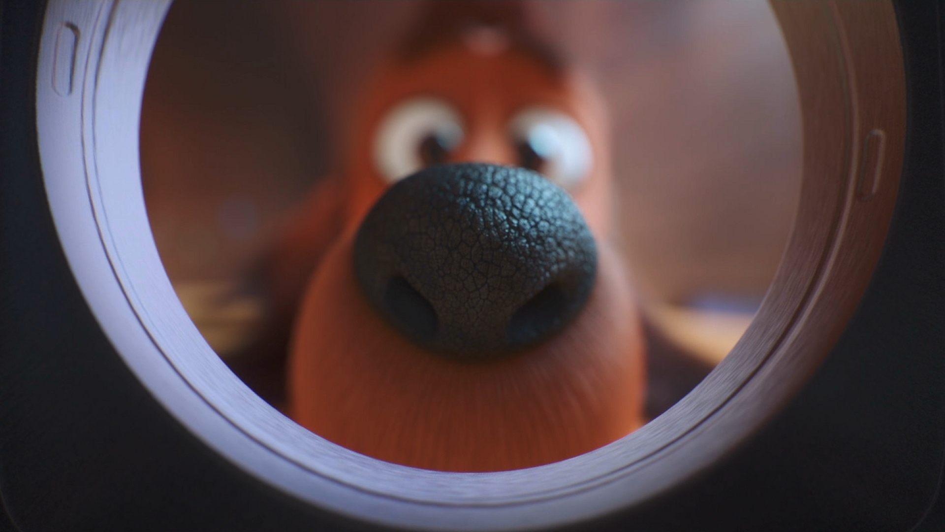 Backdrop for The Dog Days of Winter