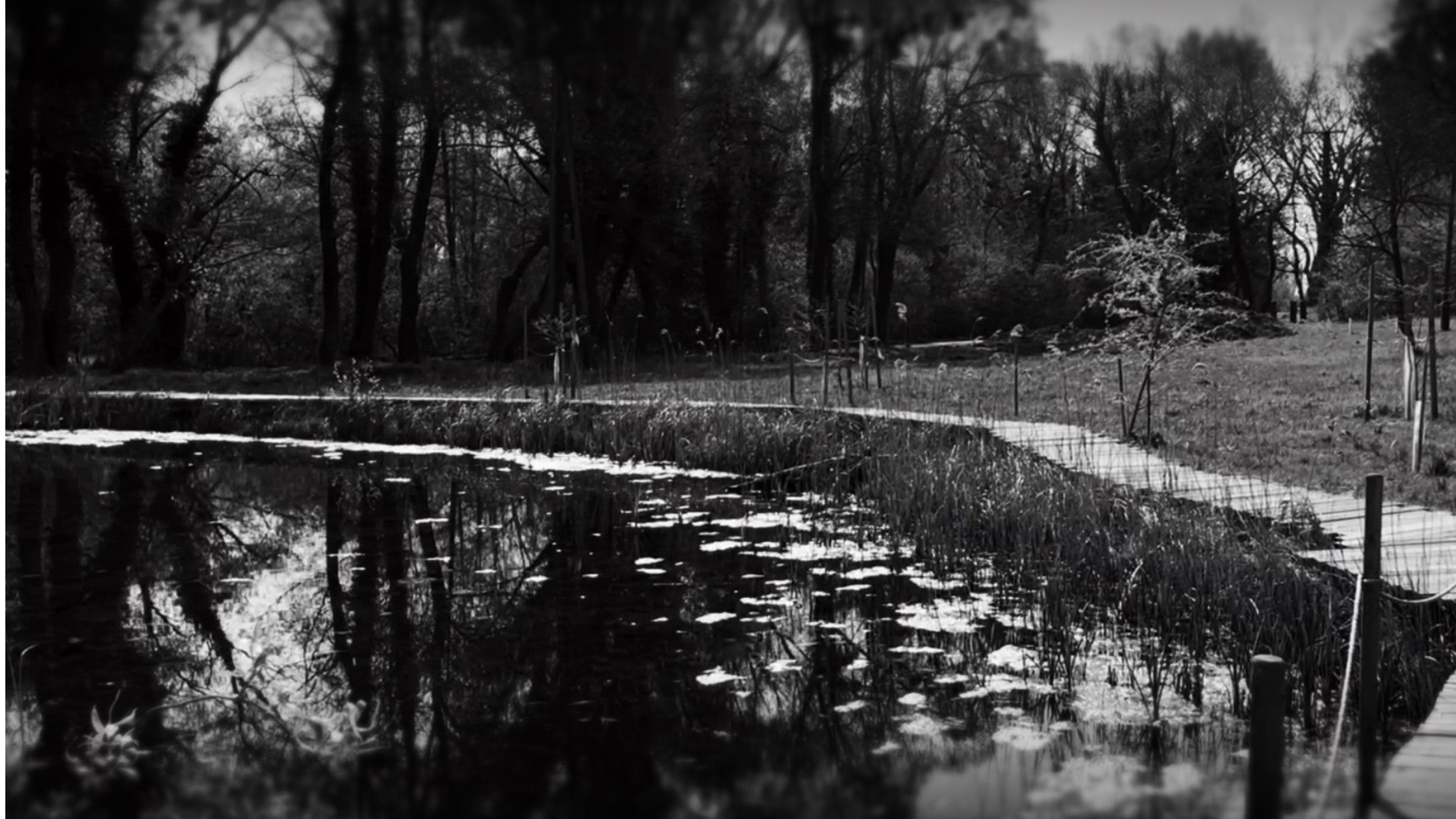 Backdrop for Childhood Tales