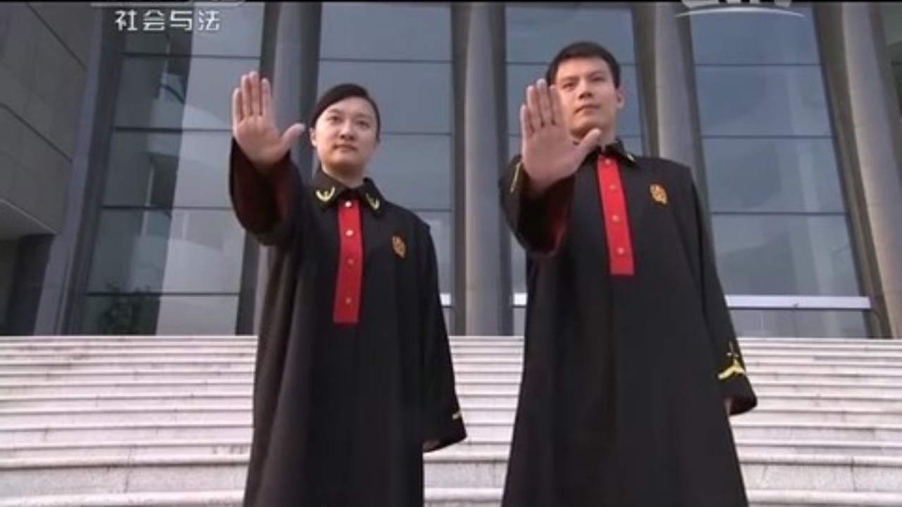 Backdrop for 中国反家暴纪事