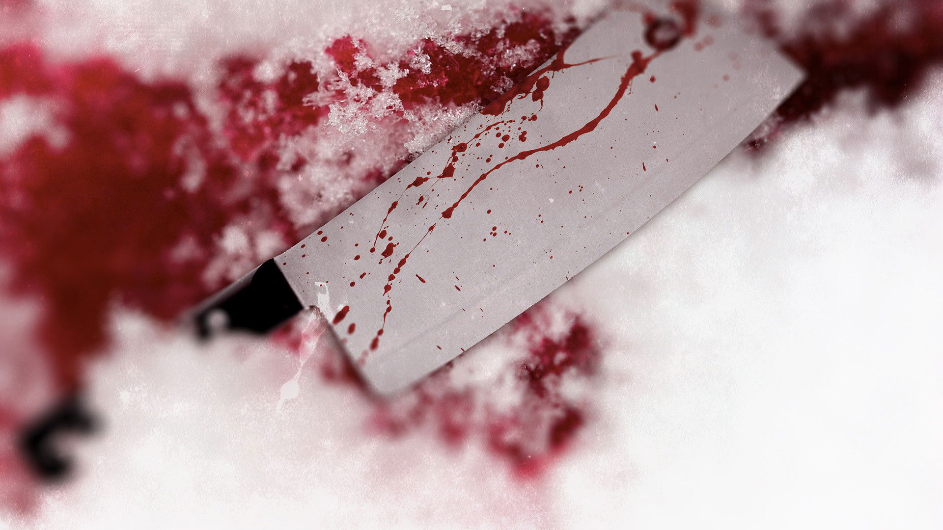 Backdrop for True Nordic Crimes