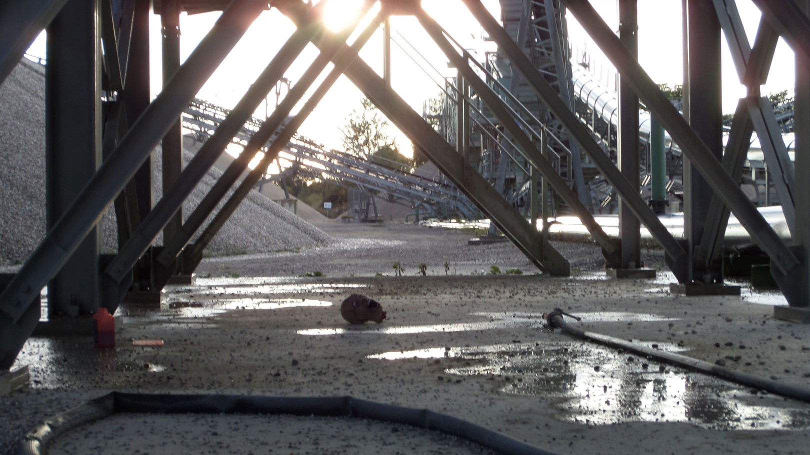 Backdrop for Doom Zone