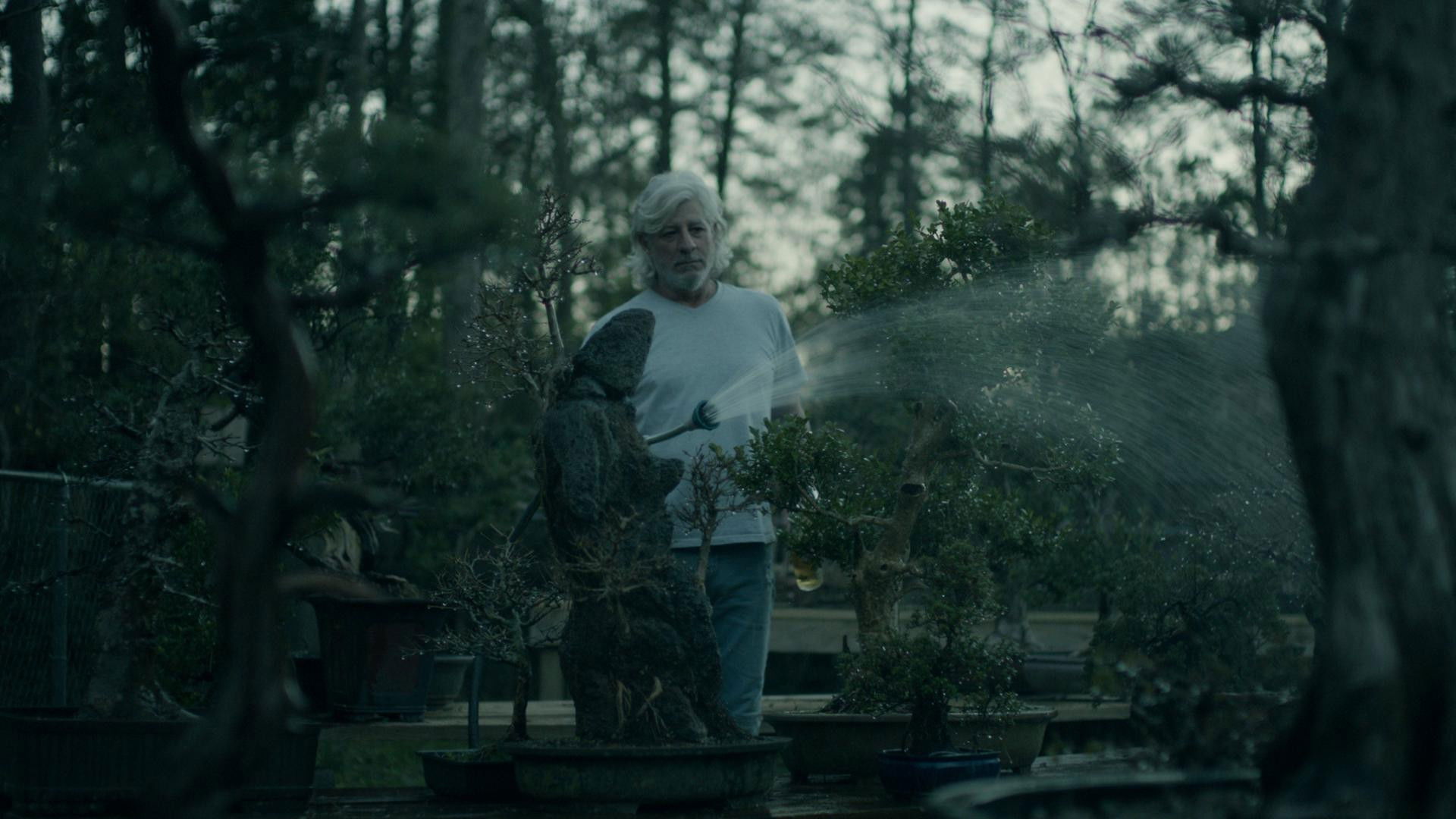 Backdrop for Bad Boy of Bonsai