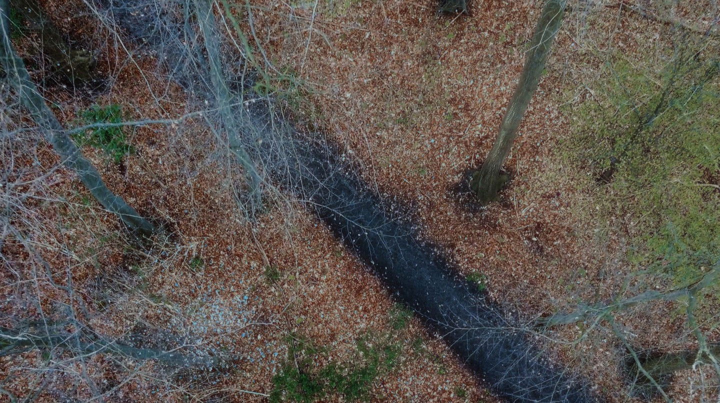 Backdrop for The Sound Man