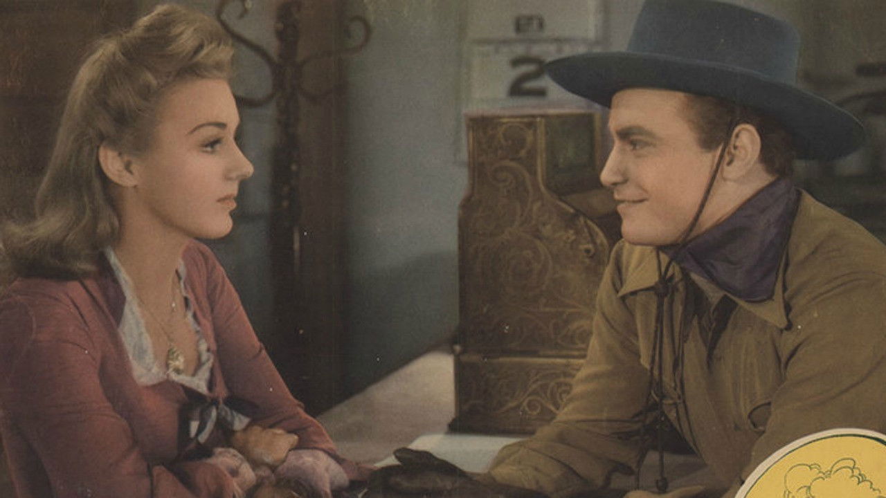 Backdrop for Arizona Terrors