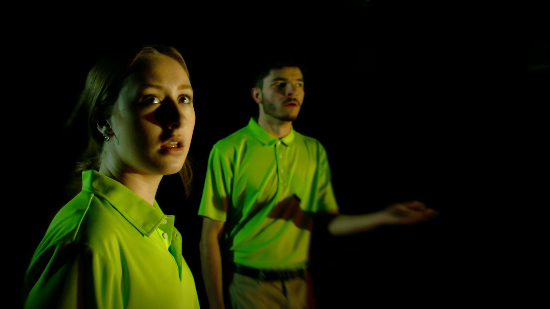 Backdrop for Fine Cuts