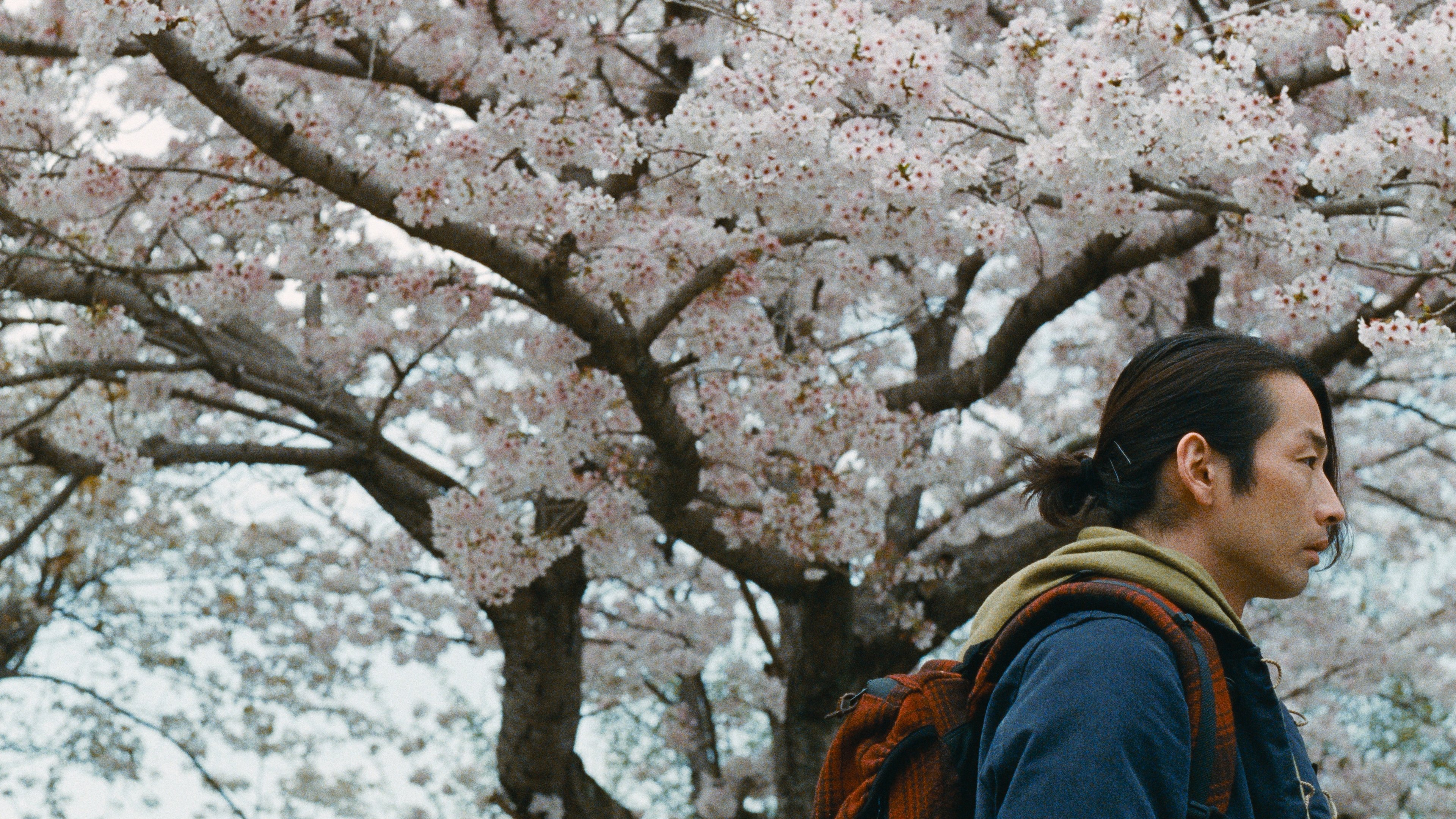 Backdrop for Great Absence