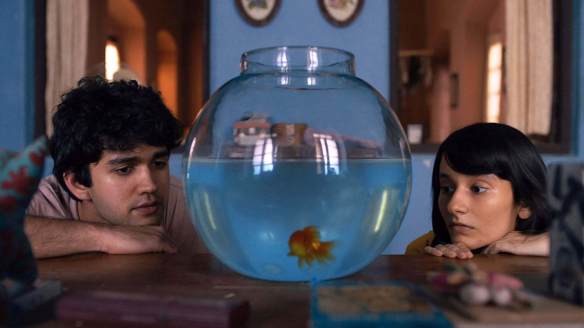 Backdrop for What are the Odds?