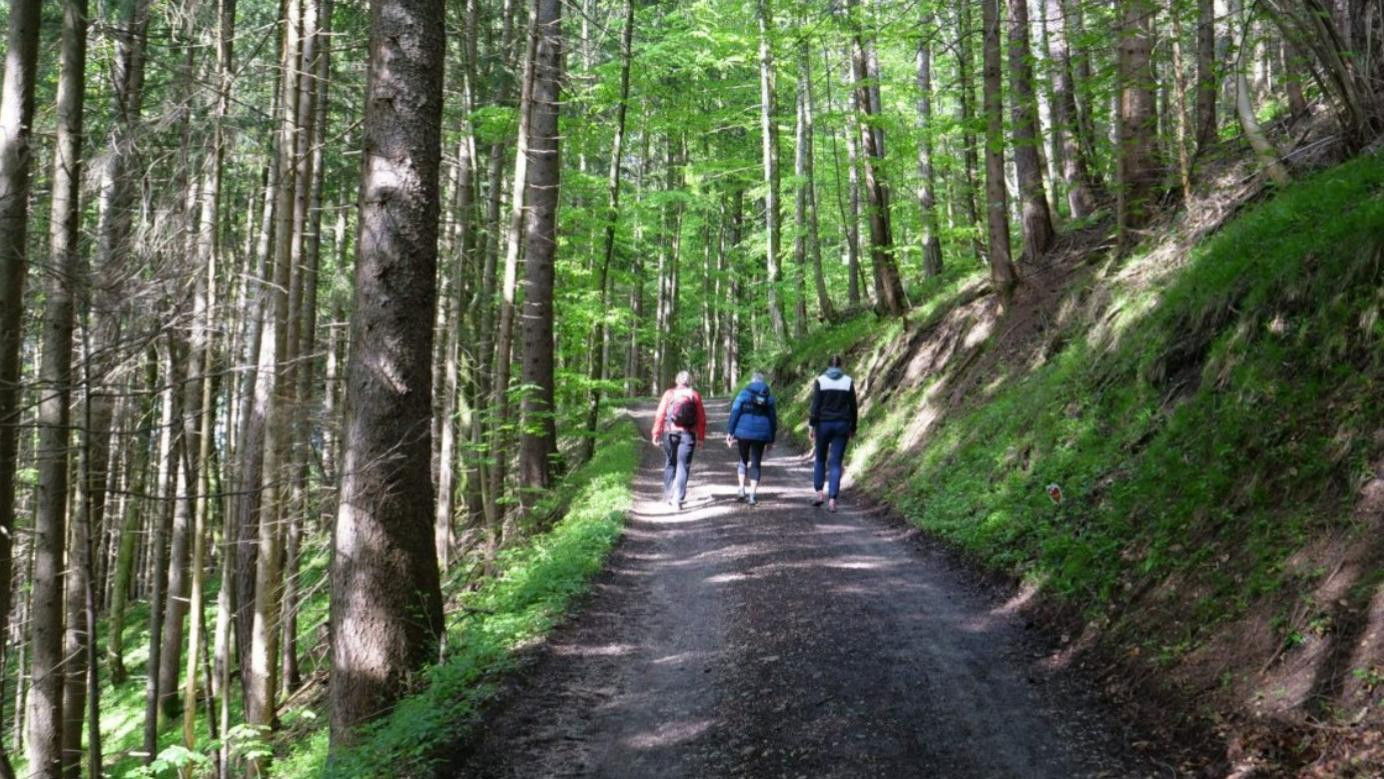 Backdrop for Walking: Miracle Cure for Body and Soul
