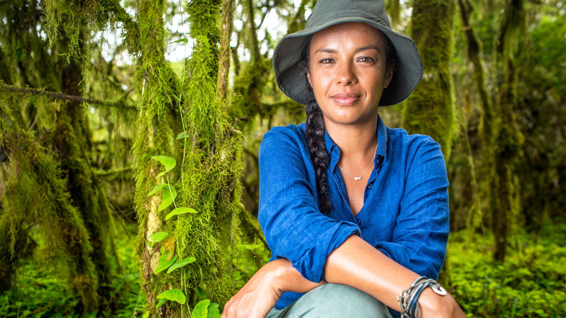 Backdrop for Galapagos