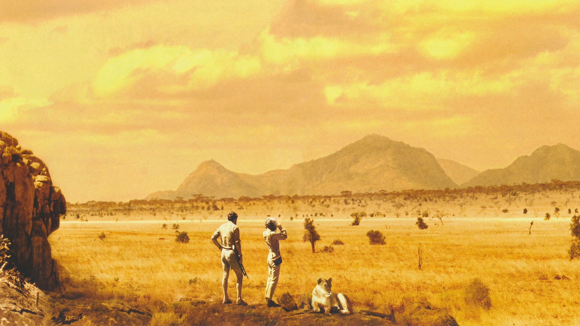 Backdrop for Born Free