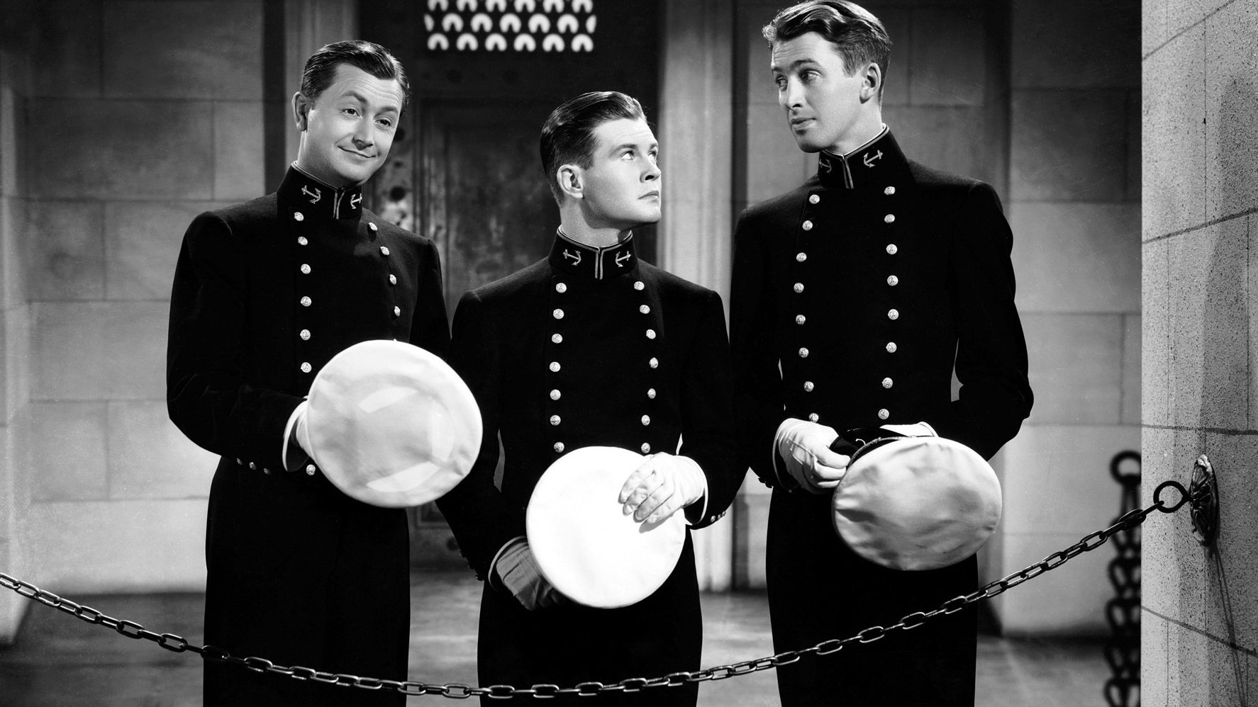 Backdrop for Navy Blue and Gold