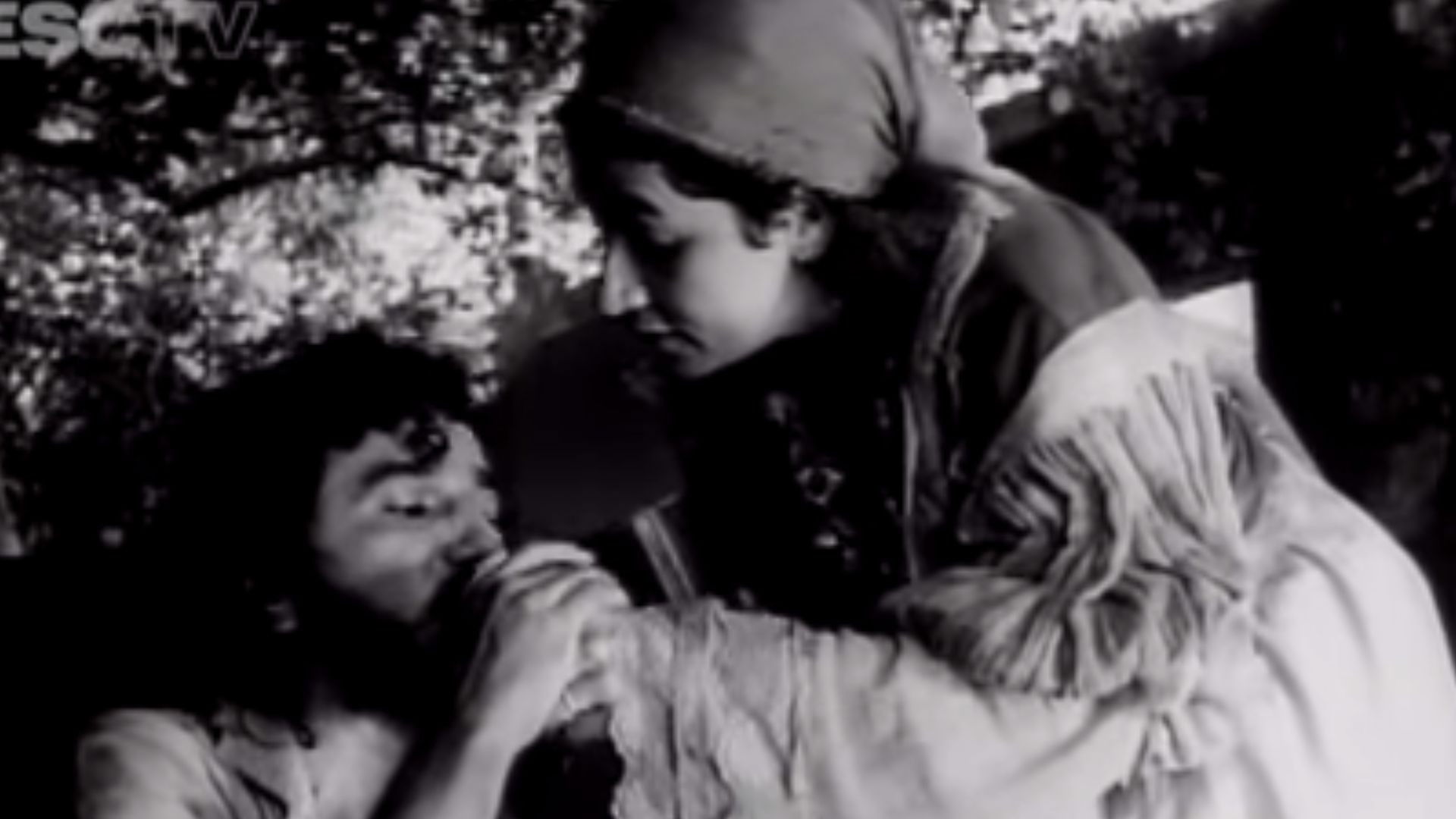 Backdrop for The Misery's Tree