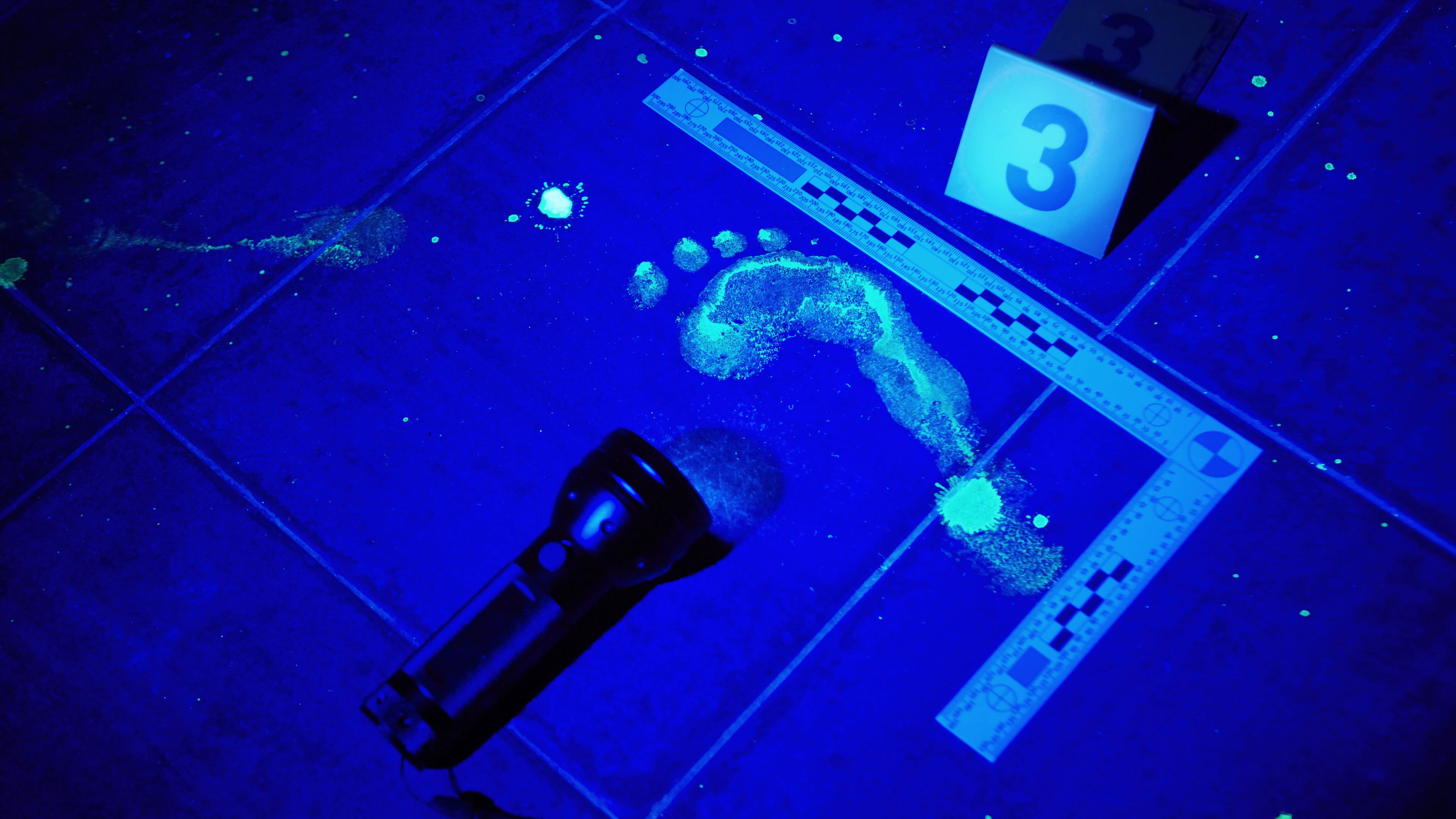 Backdrop for Forensic Files