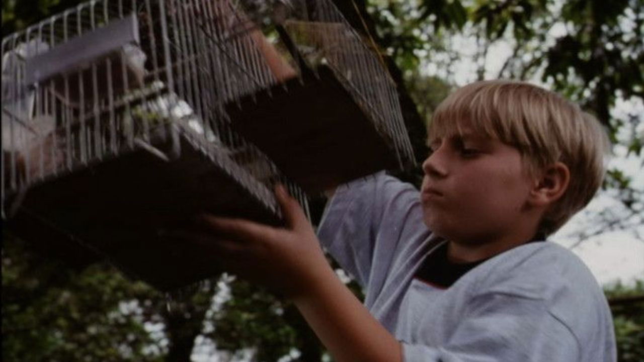 Backdrop for O Velho do Saco