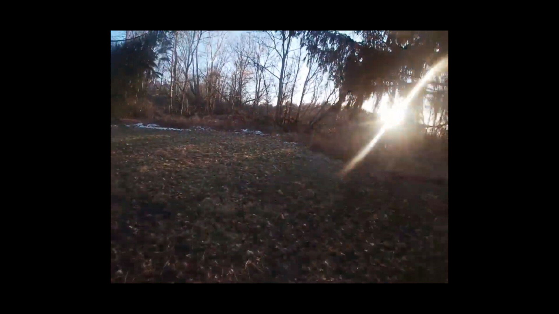 Backdrop for Bubby's Nemesis