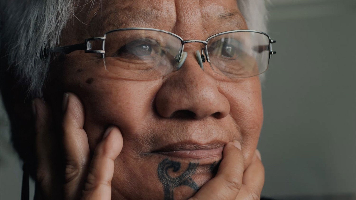 Backdrop for No Māori Allowed