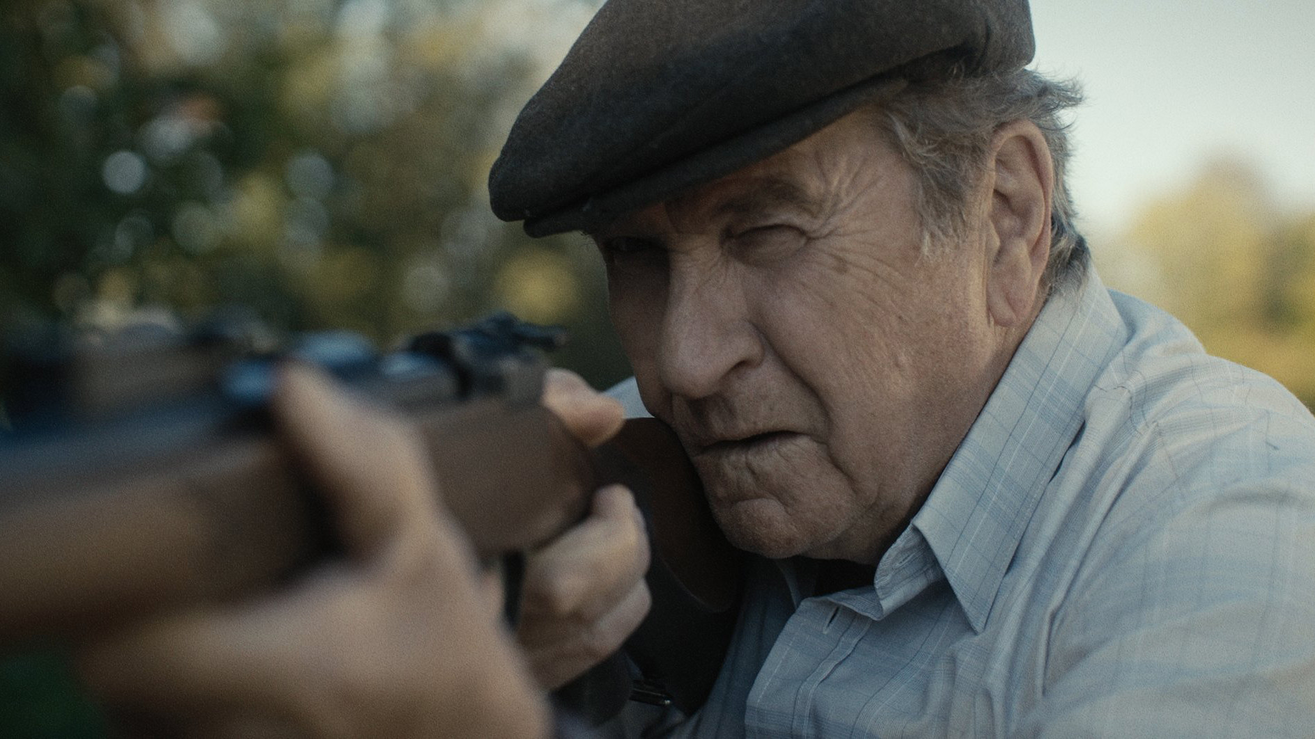 Backdrop for Dream 1991