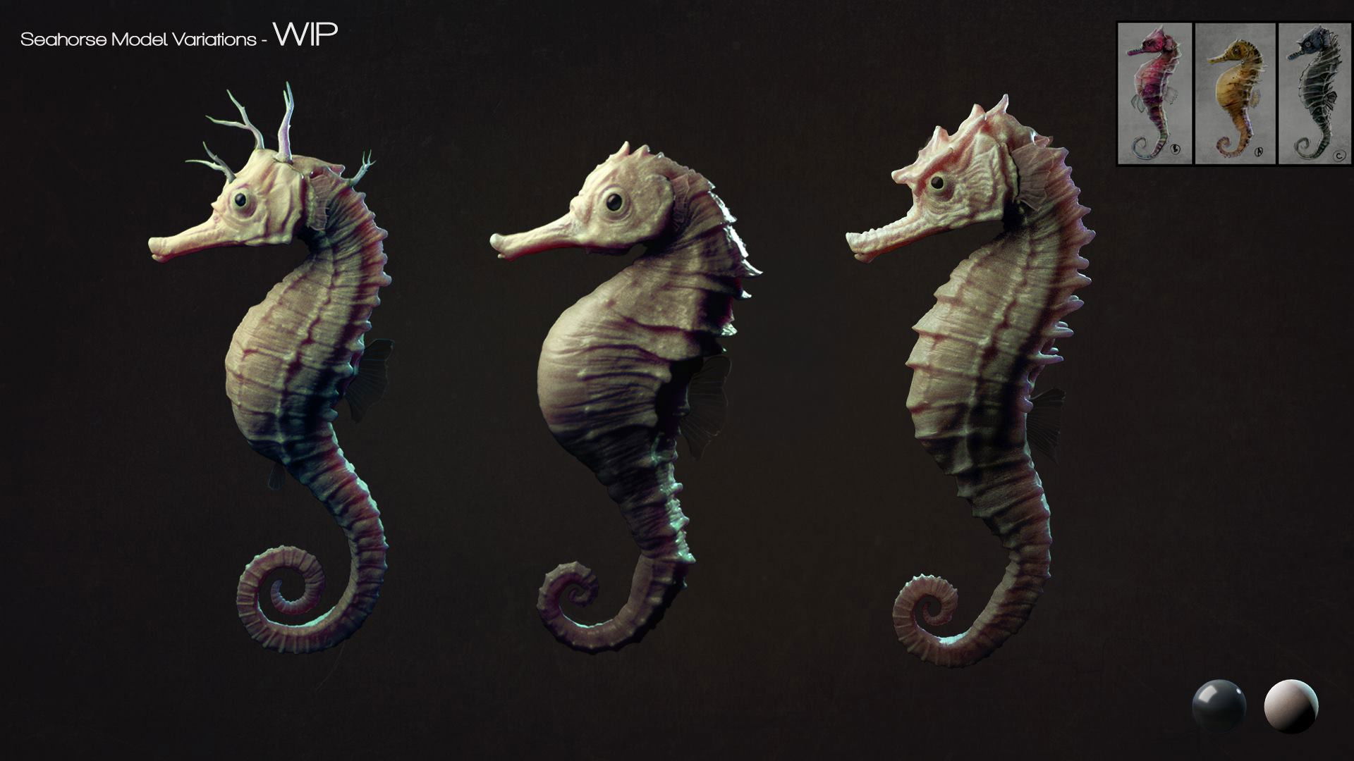 Backdrop for The Seahorse Trainer