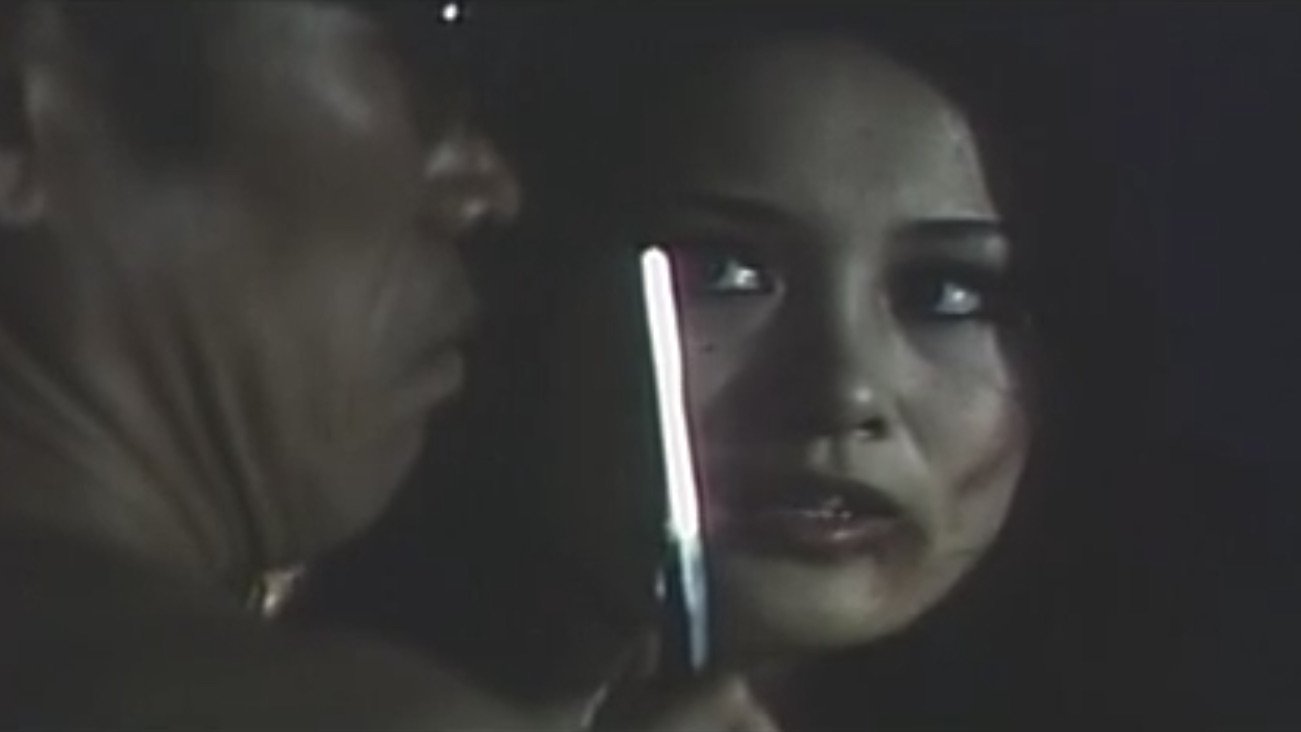 Backdrop for Sanctuary in the Night