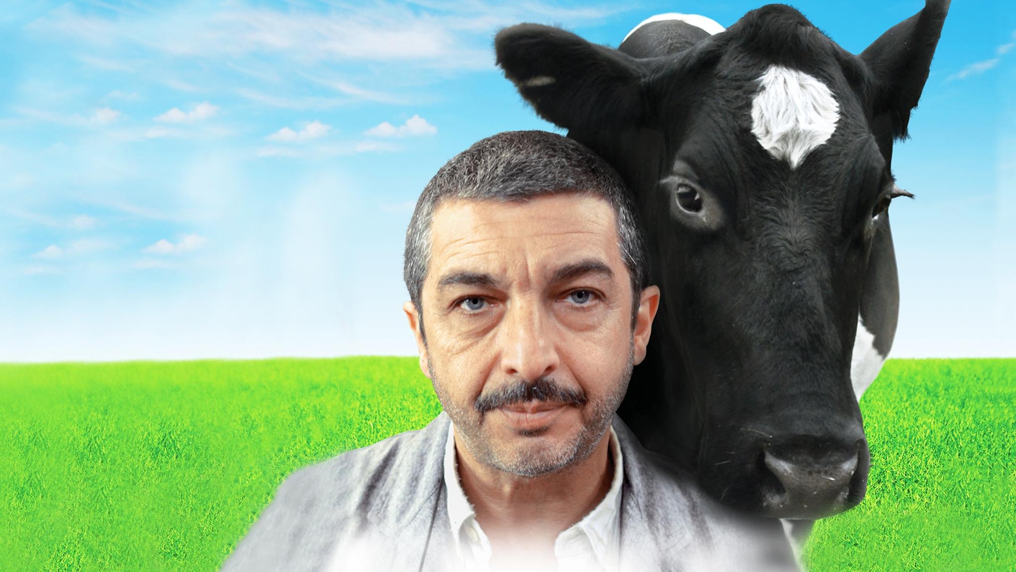 Backdrop for Chinese Take-Away