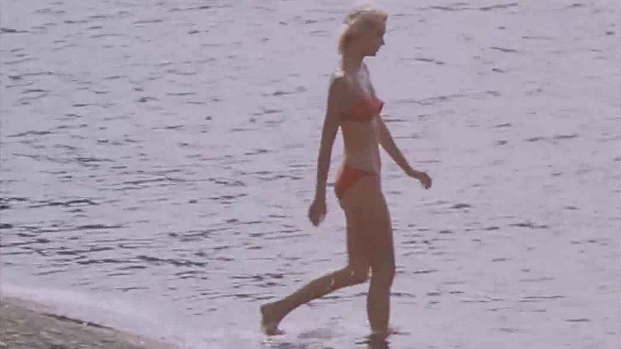 Backdrop for Holidays by the Sea