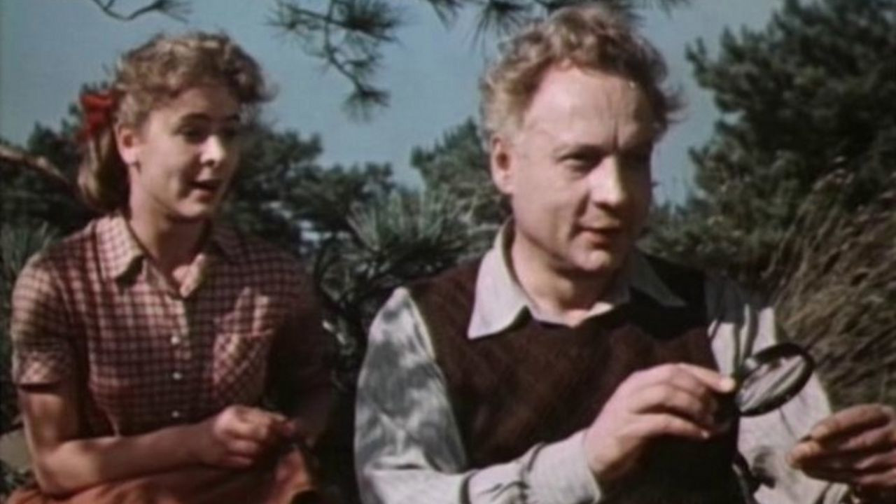 Backdrop for A Friend in Court Is Better...