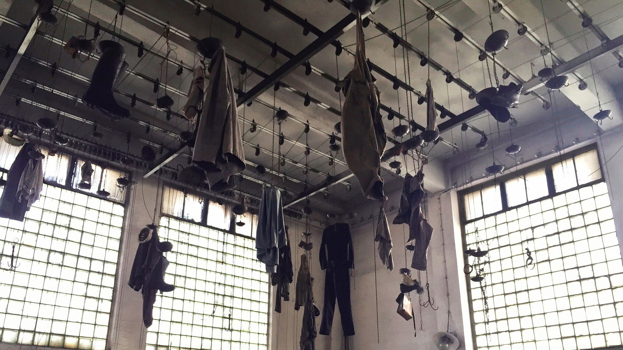 Backdrop for Red Trees