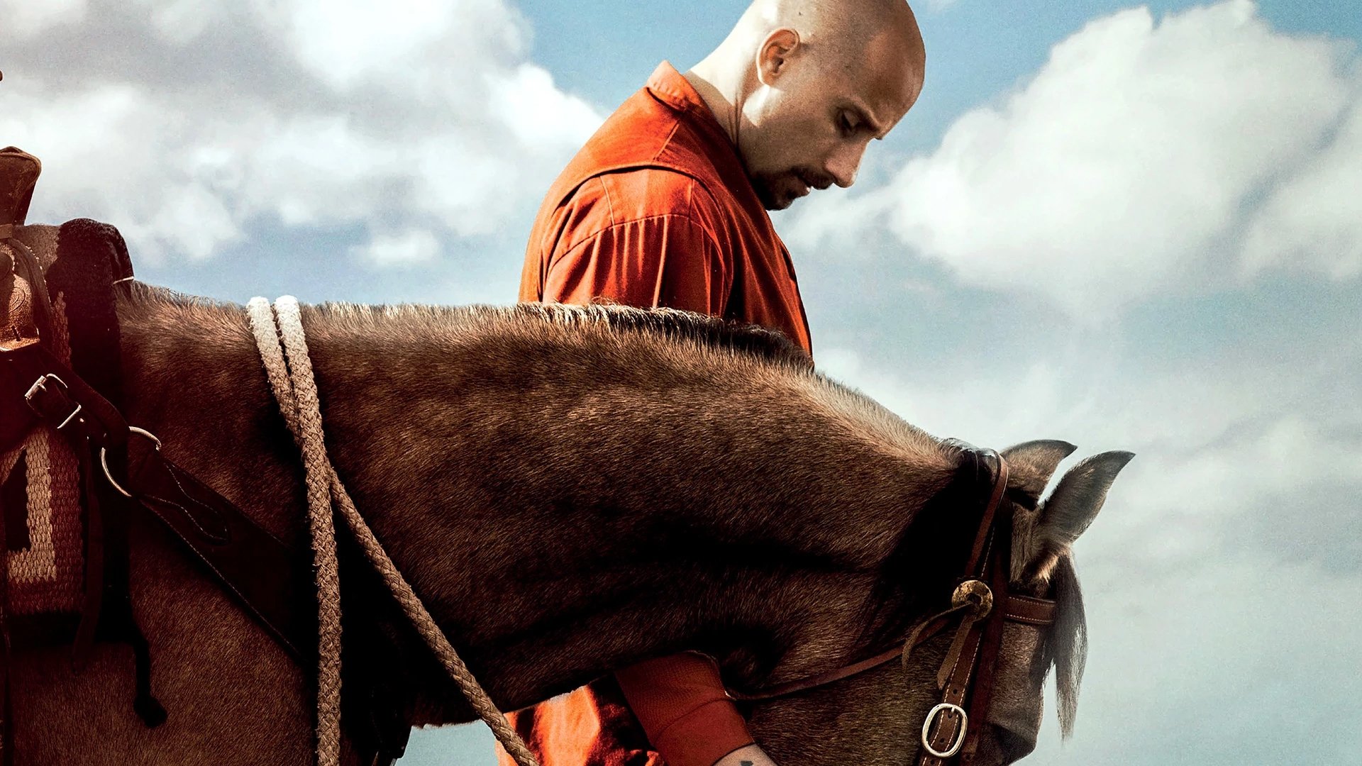 Backdrop for The Mustang